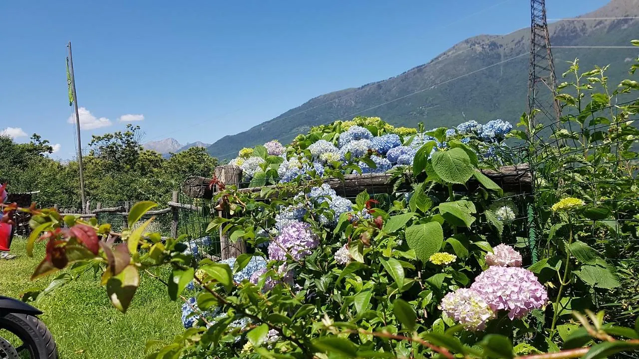 Alloggio per agriturismo Agriturismo Volpe Golosa Morbegno